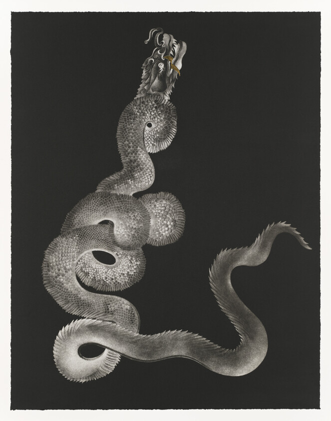 A long, coiled dragon-like sea serpent with textured scales rises against a black background.