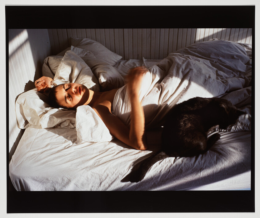 A person lies in rumpled white sheets in morning light with a black dog curled beside them.