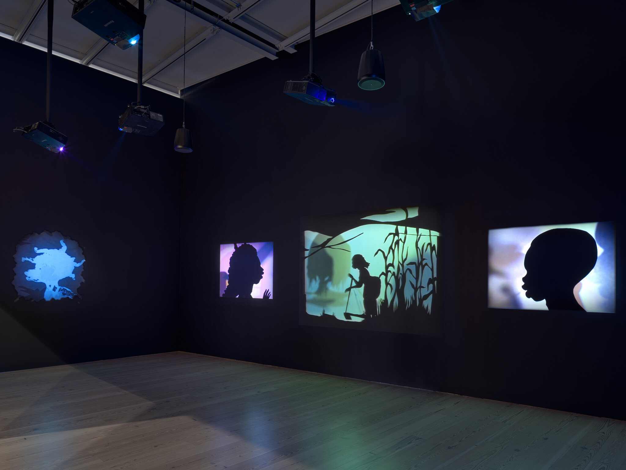 Four illuminated silhouette projections on a dark gallery wall show profiles and a figure in reeds.