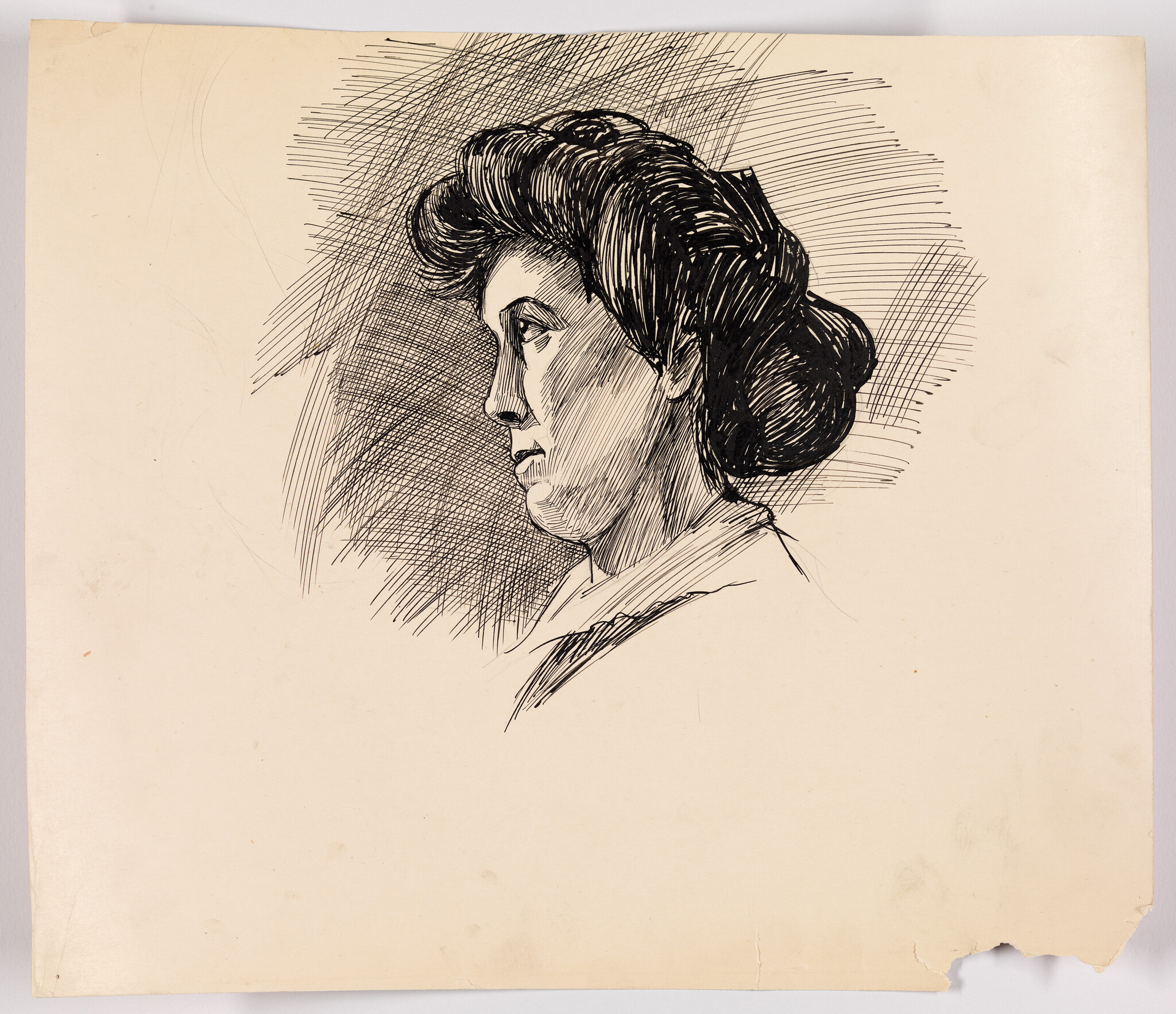 A pen-and-ink profile portrait of a woman with her hair in a bun looking left.