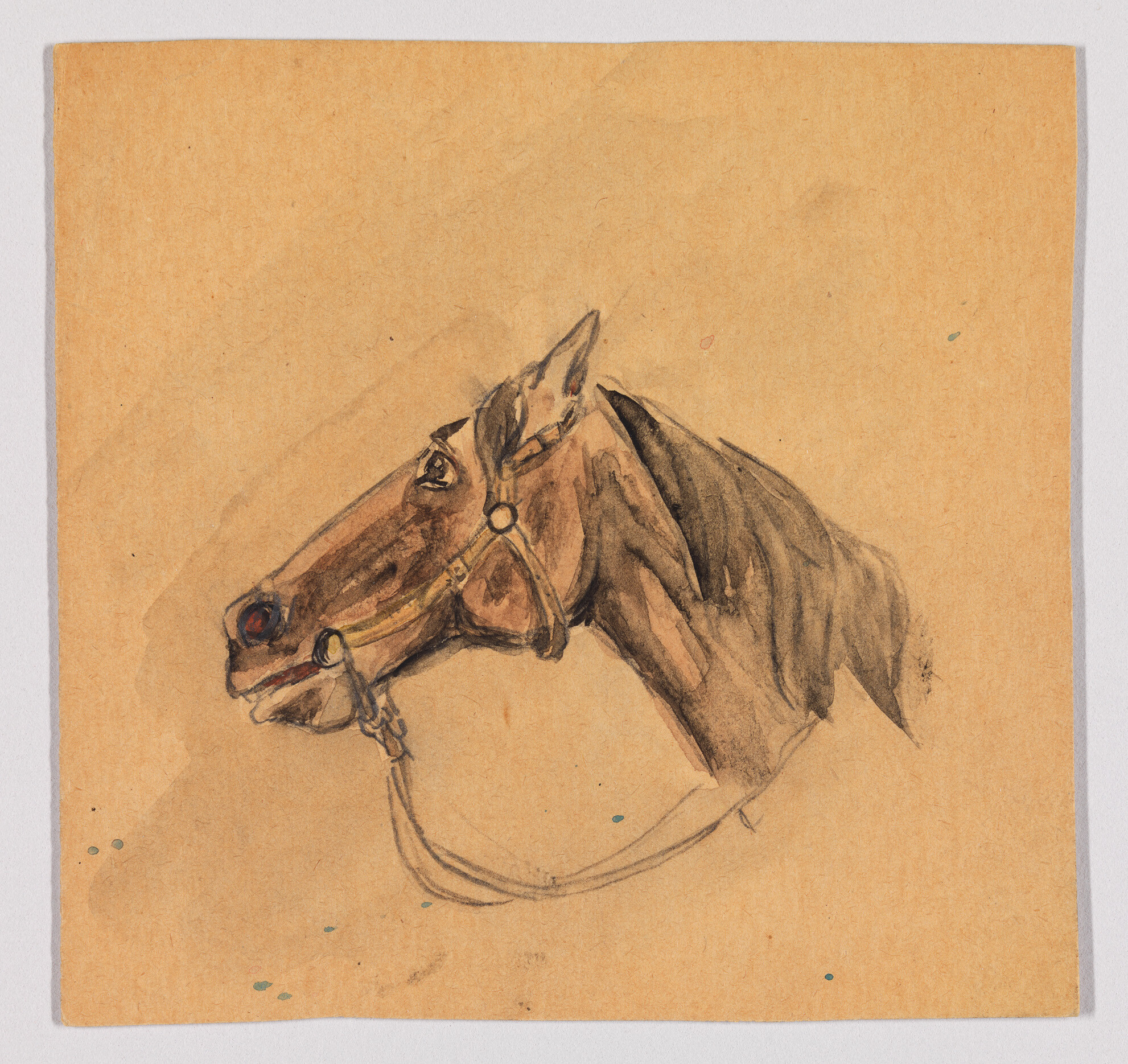A sketch of a brown horse head wearing a bridle and lead rope.
