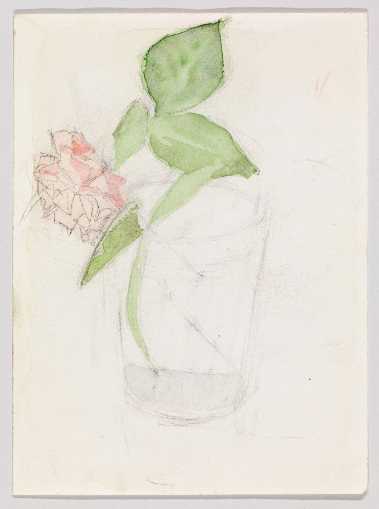 A glass holds a single stem with green leaves and a pale pink flower.