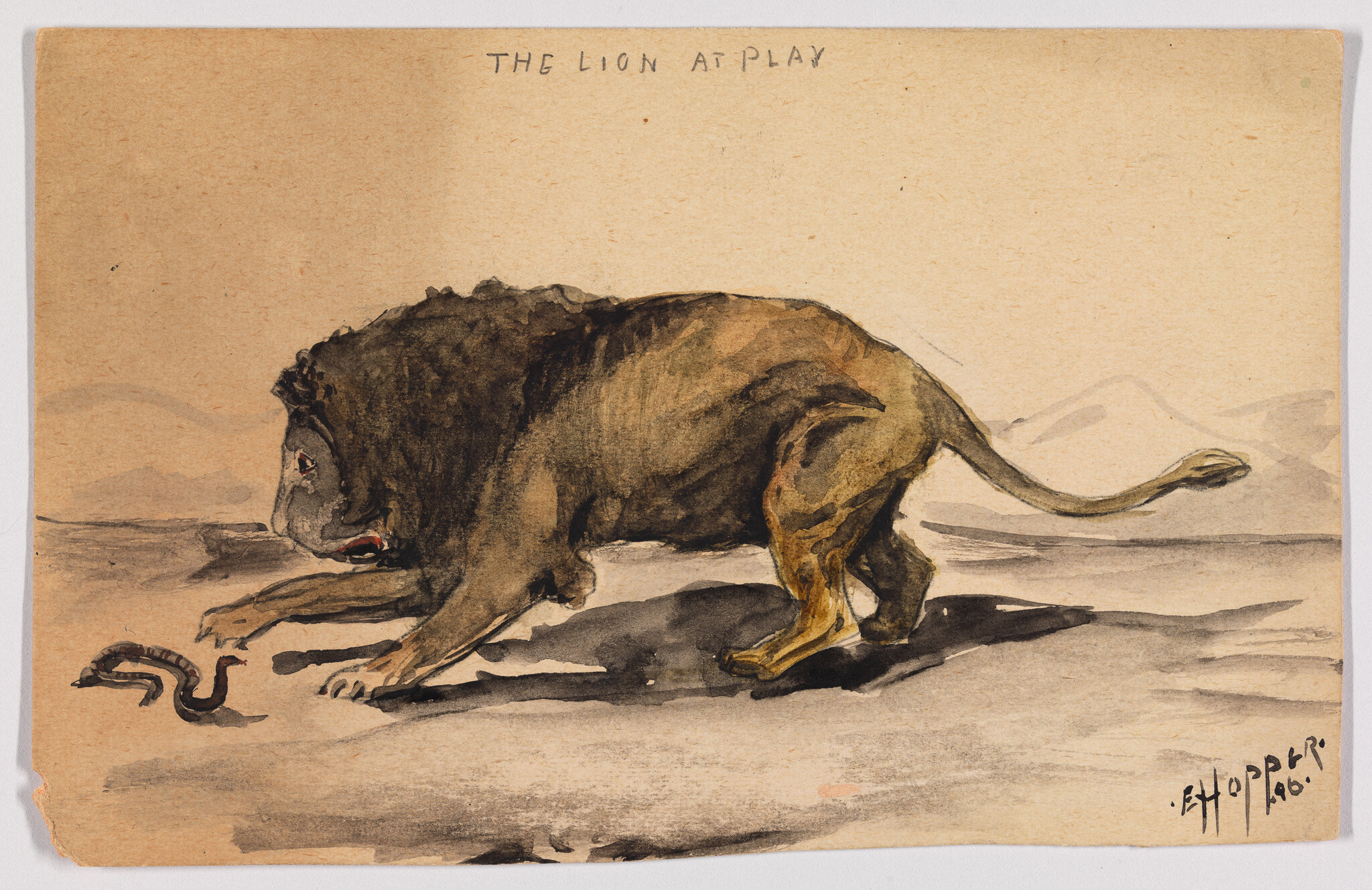 A large lion crouches and paws at a small snake on dry ground.