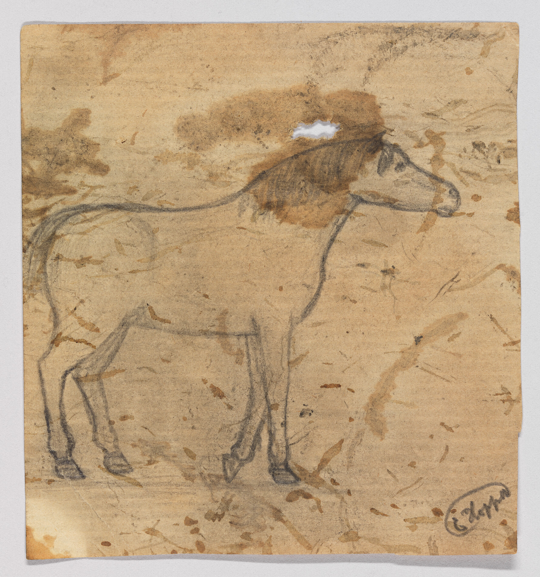 A simple pencil sketch of a standing horse with a shaded mane on stained paper.