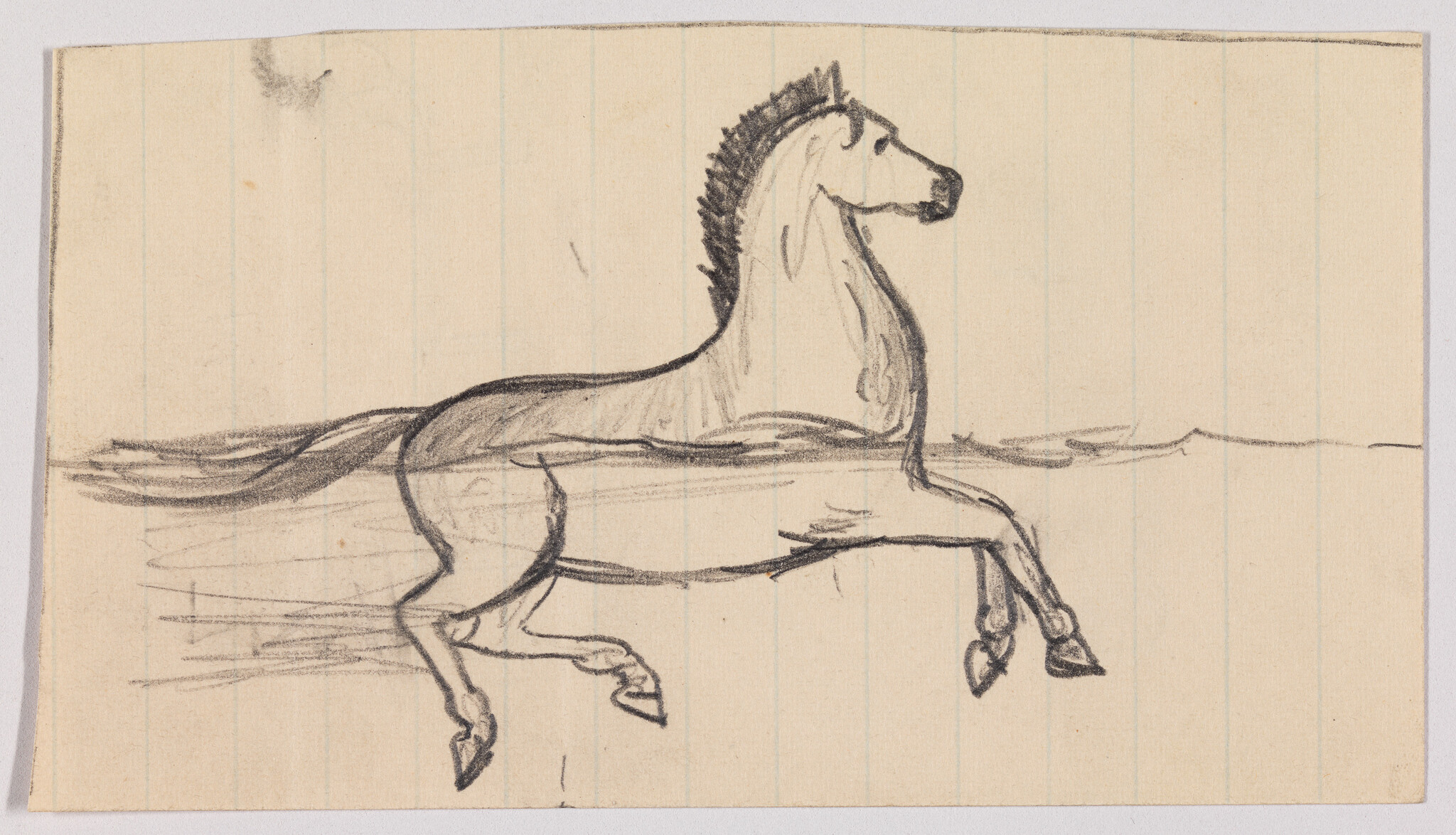 Pencil sketch shows a horse galloping with front legs extended and a raised mane.