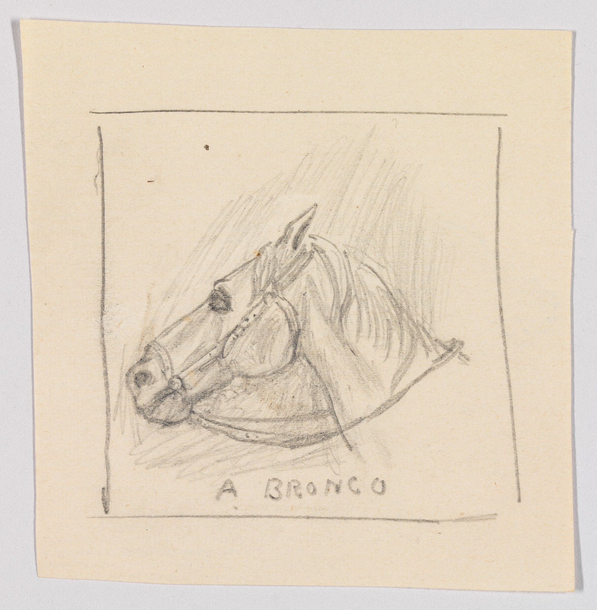 Pencil sketch of a bridled horse head facing left with the words "A BRONCO" beneath.
