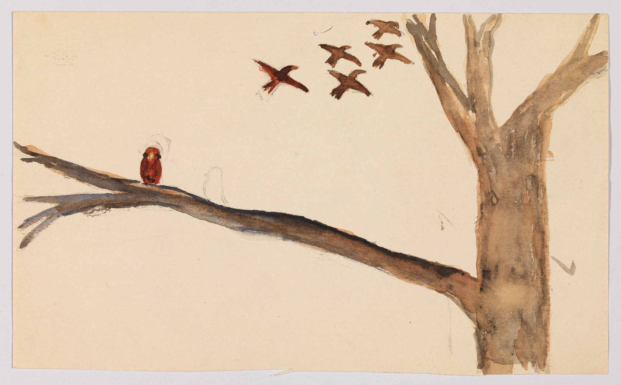 A small red bird sits on a long tree branch while several birds fly overhead.