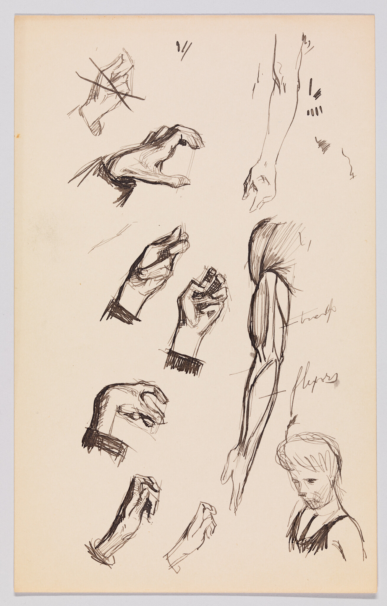 Multiple pen sketches of hands in various poses with an anatomical arm study and a male head.