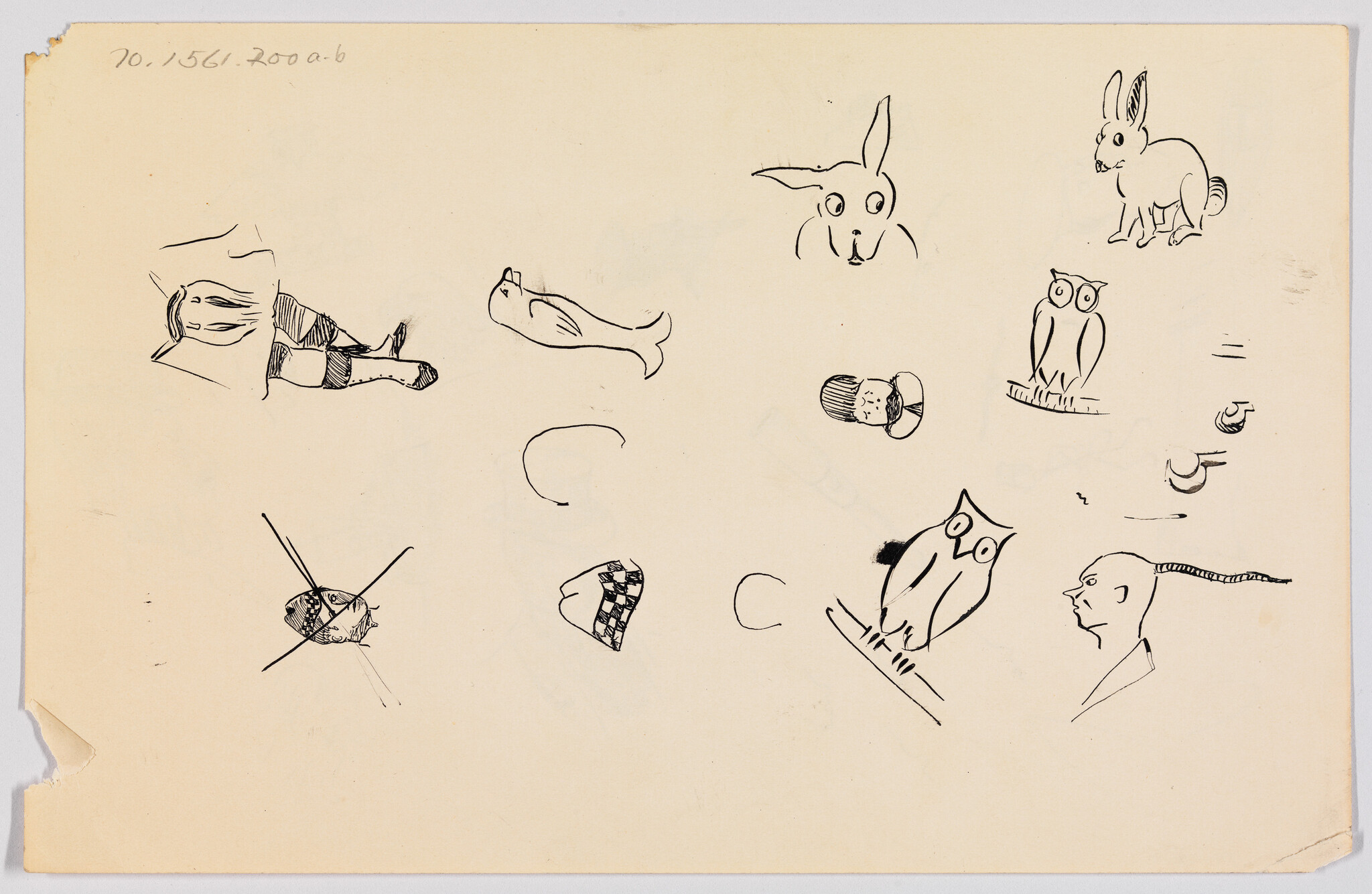 Several small ink sketches of owls, rabbits, a fish, and human heads across blank paper.