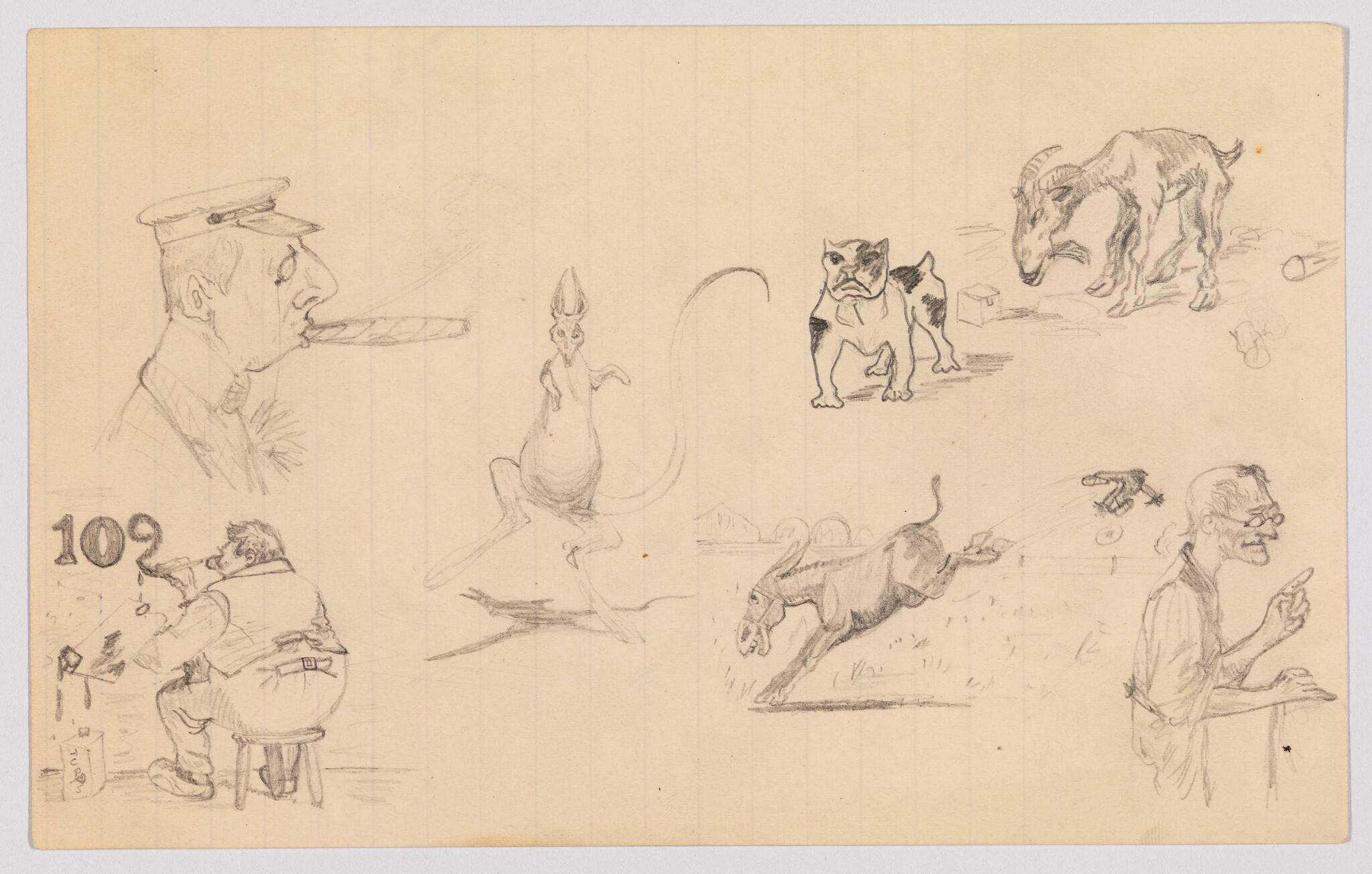 Multiple pencil sketches show animals and men in various poses and actions.