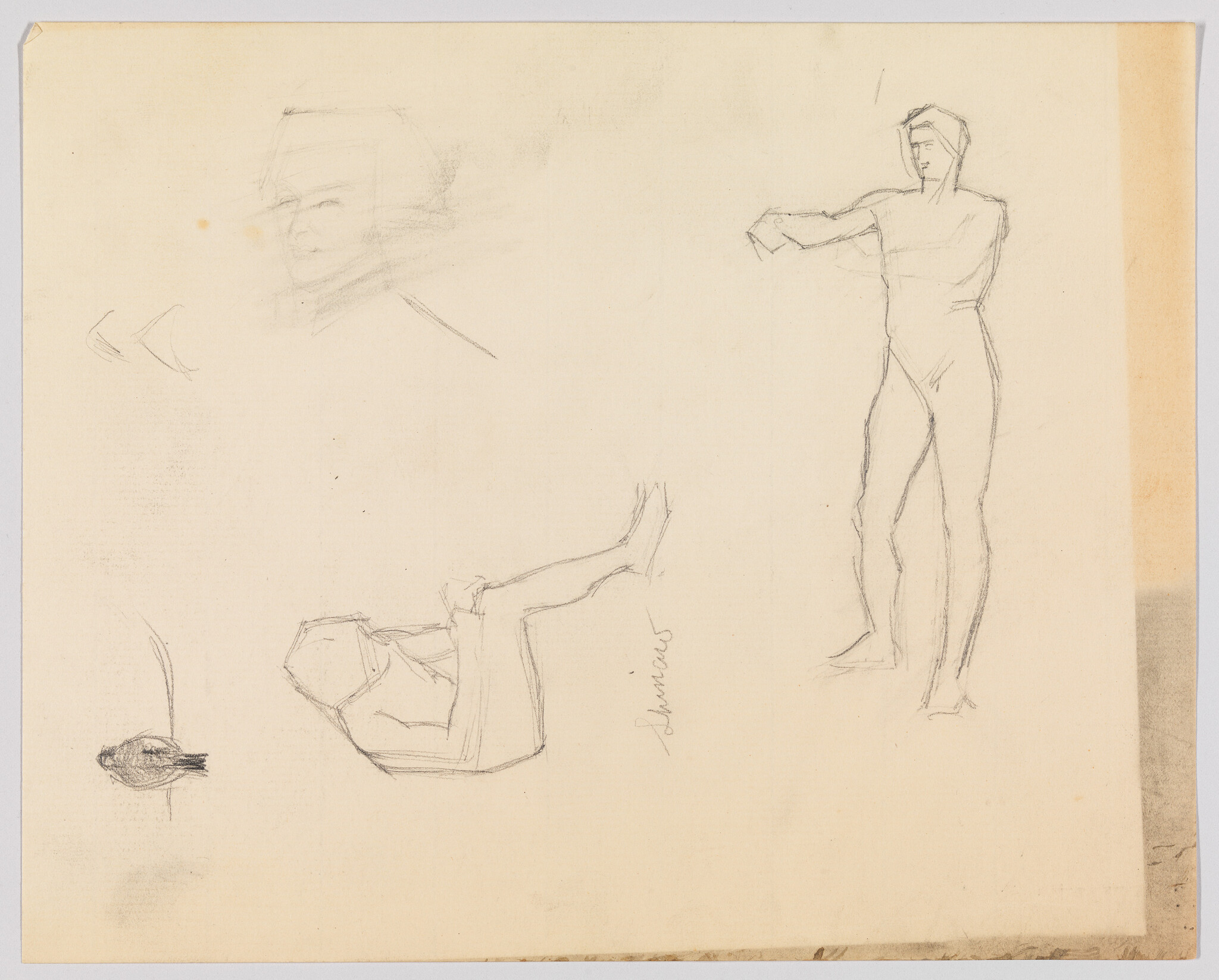 Several light pencil figure sketches including a standing male, reclining figure, head study, and small bird.