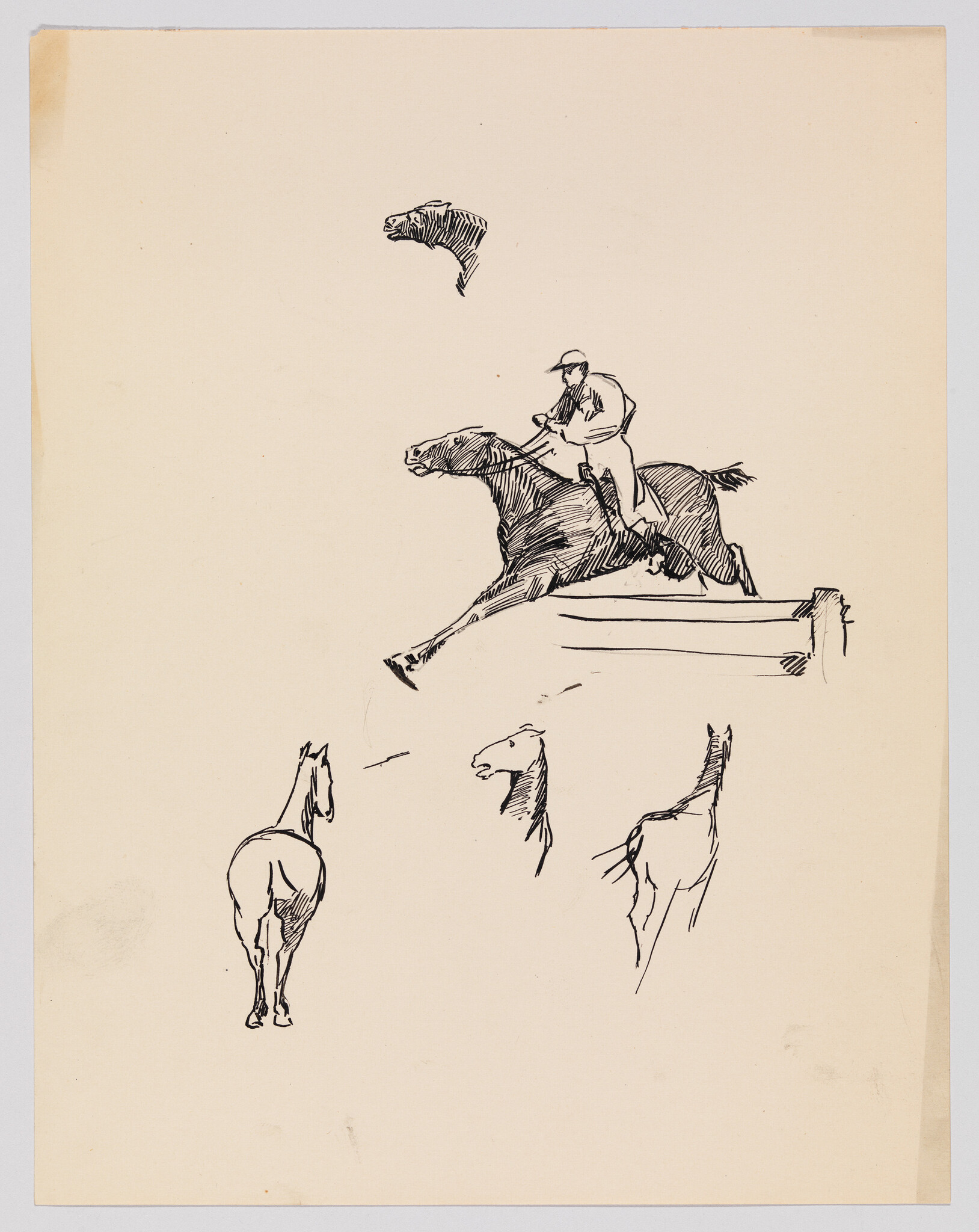 A rider on a horse leaps over a fence with several quick horse sketches below.