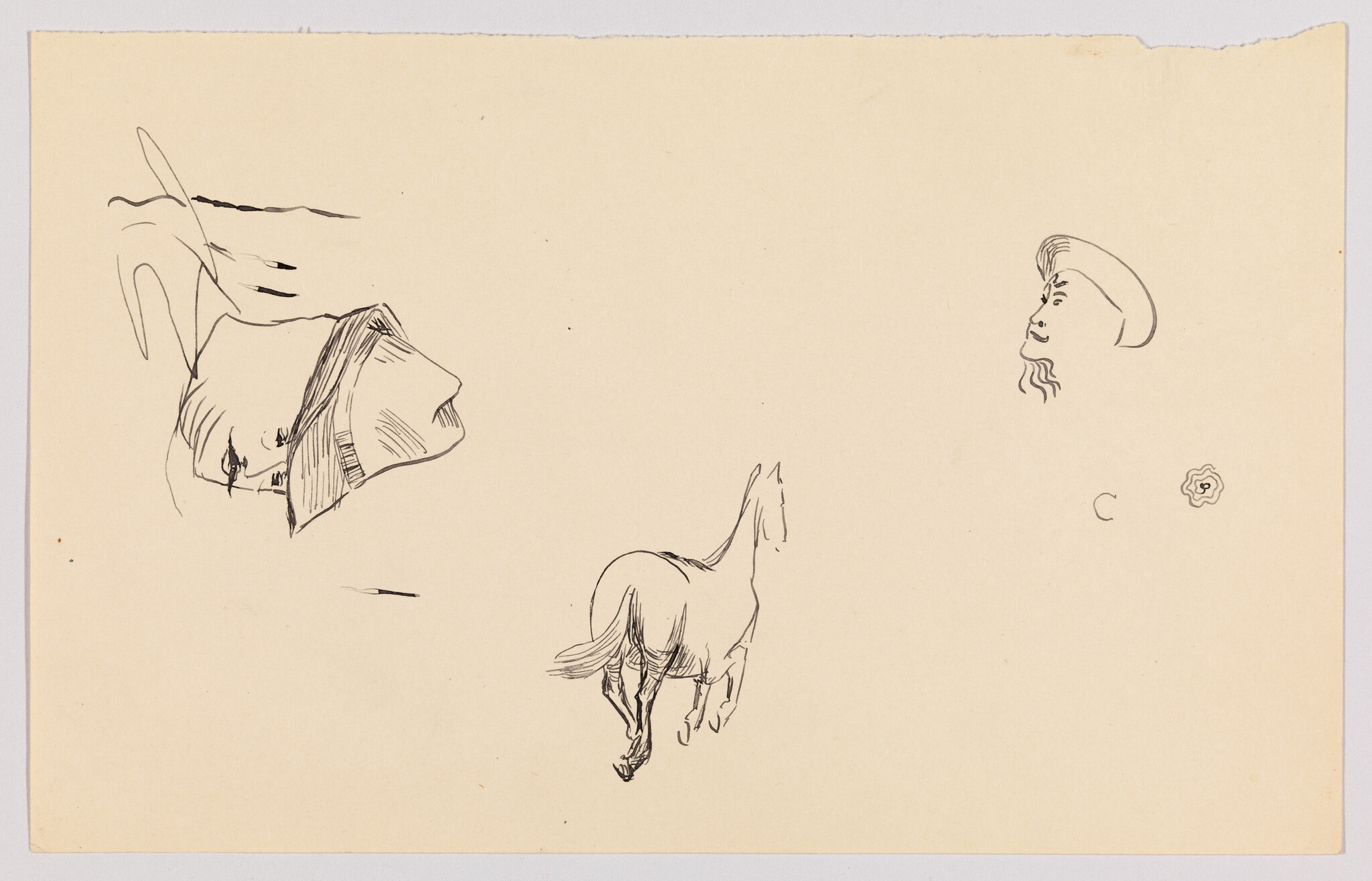 A quick ink sketch of a horse walking away with two small head studies nearby.