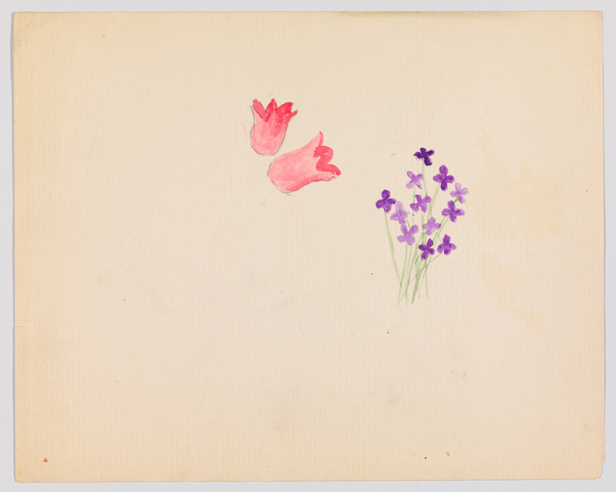 Two pink tulip petals and a small cluster of purple wildflowers painted on paper.