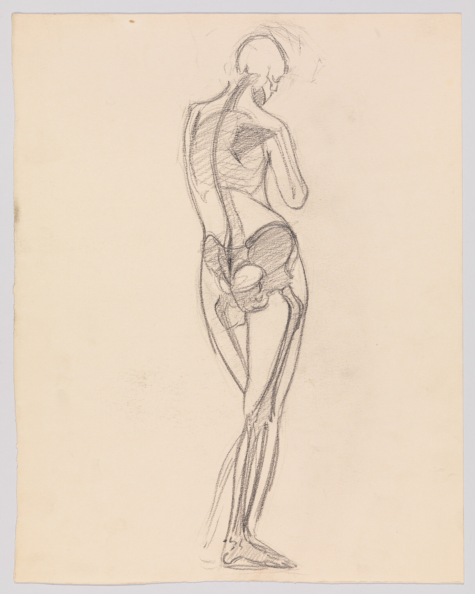 A pencil anatomical sketch shows a standing figure from the back with spine, pelvis, and leg bones.