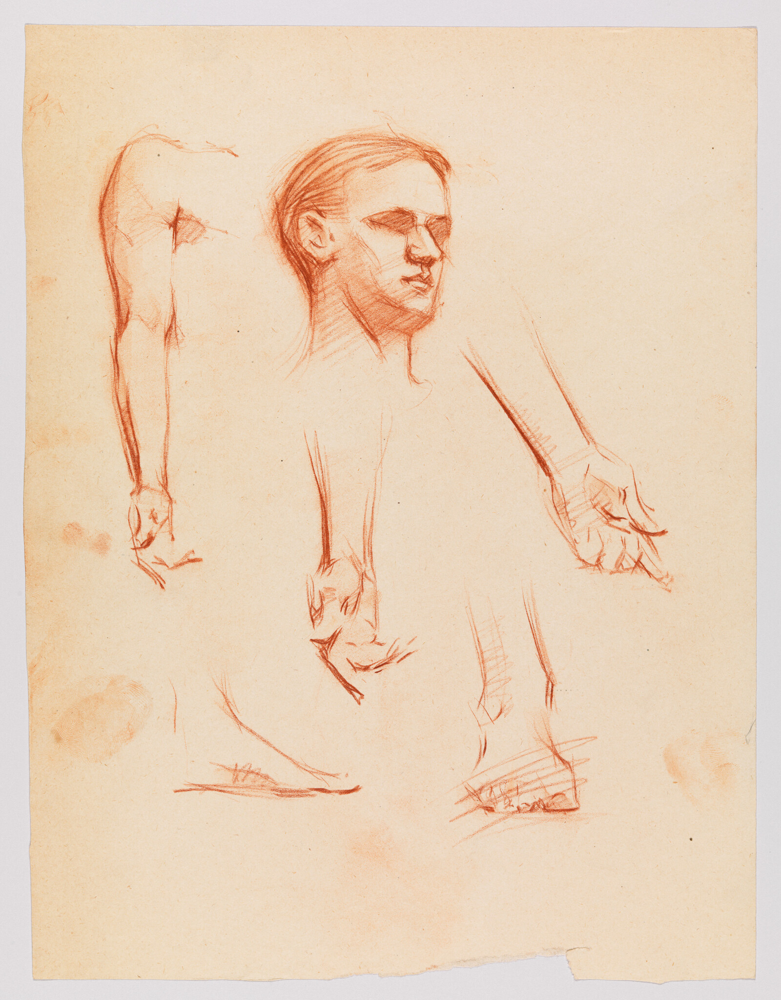 Red chalk sketches of a man's head with multiple arm and hand studies on paper.