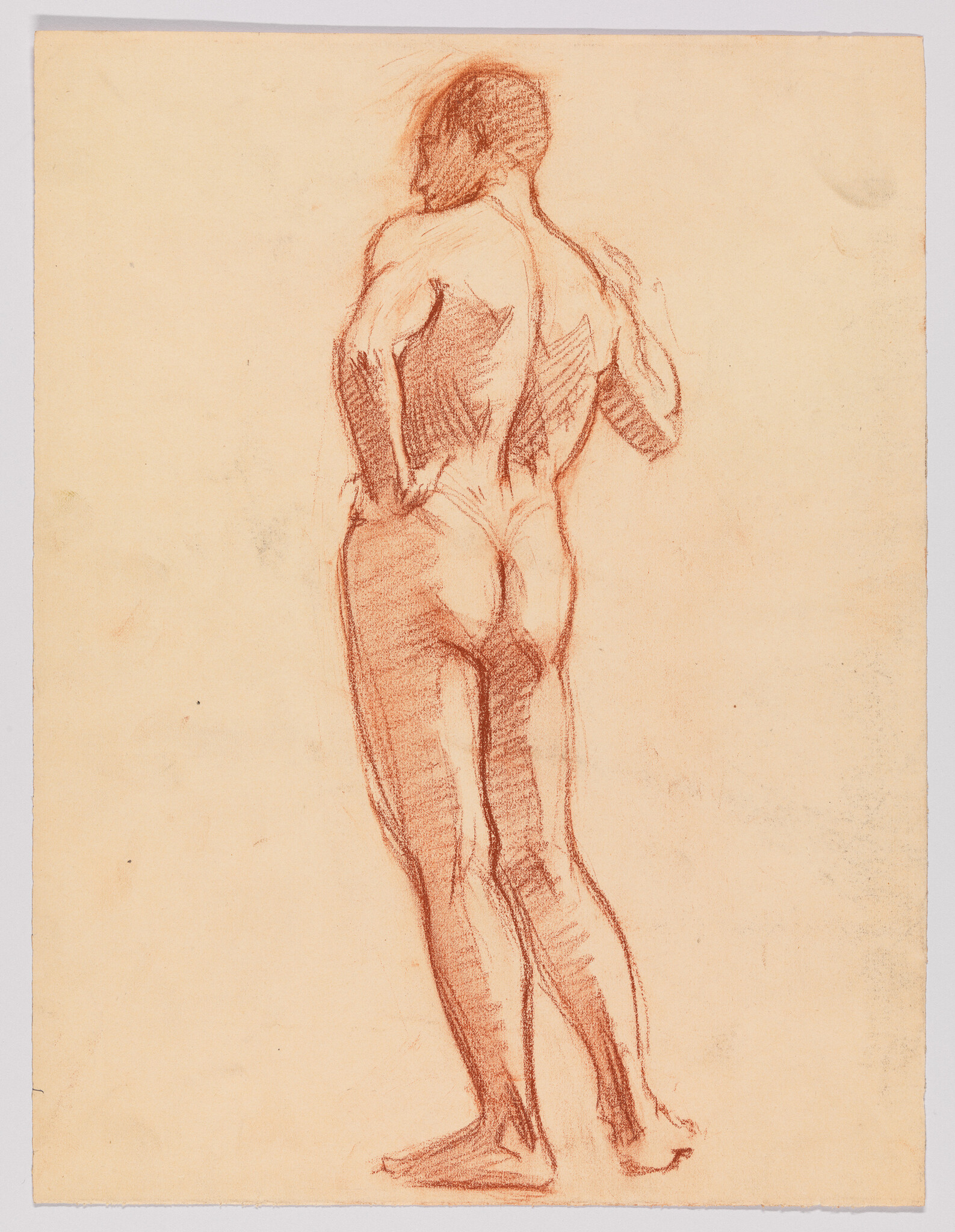Standing male nude sketch from behind with hands on hips, drawn in reddish chalk.