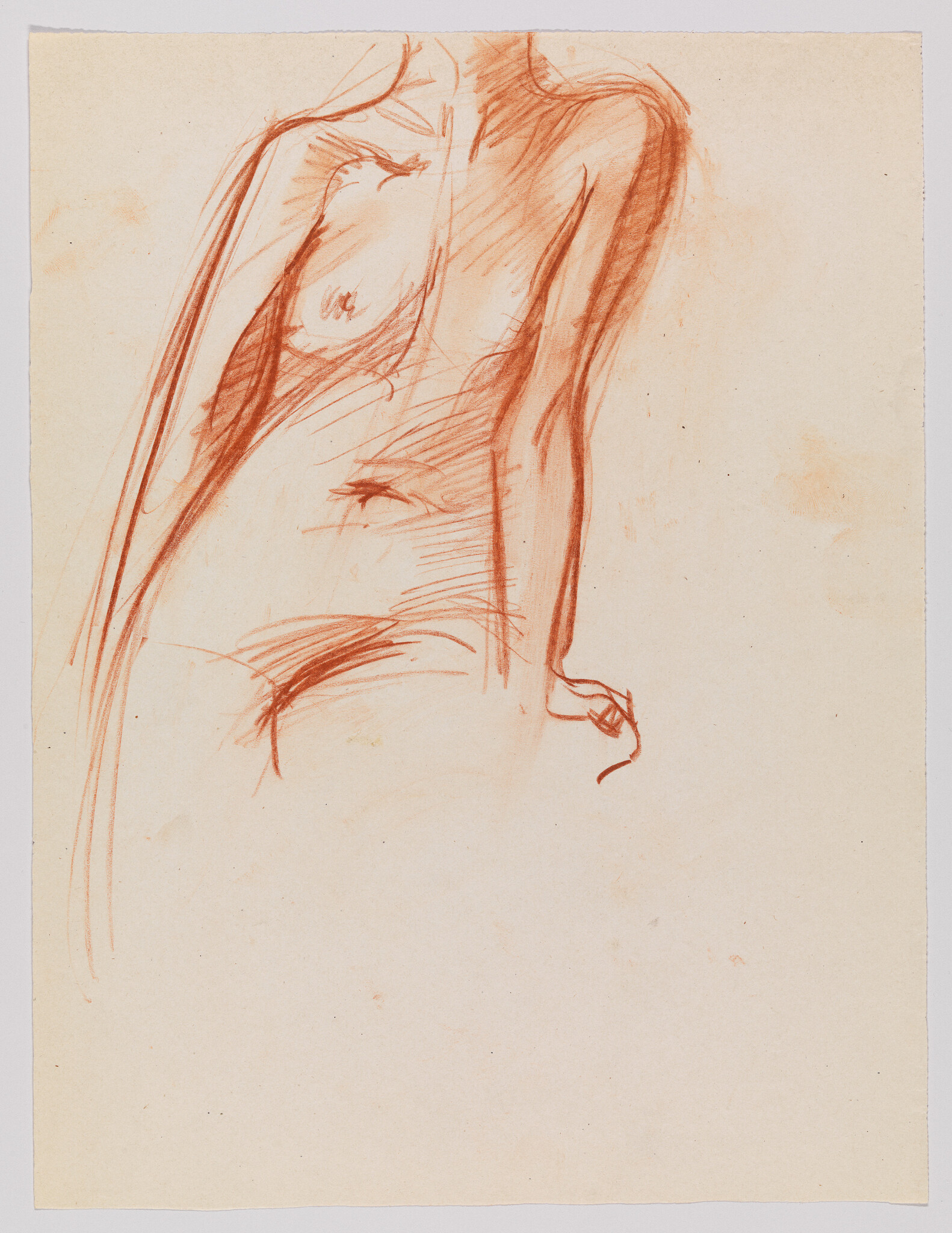A sketch of a human torso with an emphasis on the anatomy, drawn in red sanguine on a beige paper. The drawing captures the contours and muscles of the side profile, with details around the chest, abdomen, and arm.