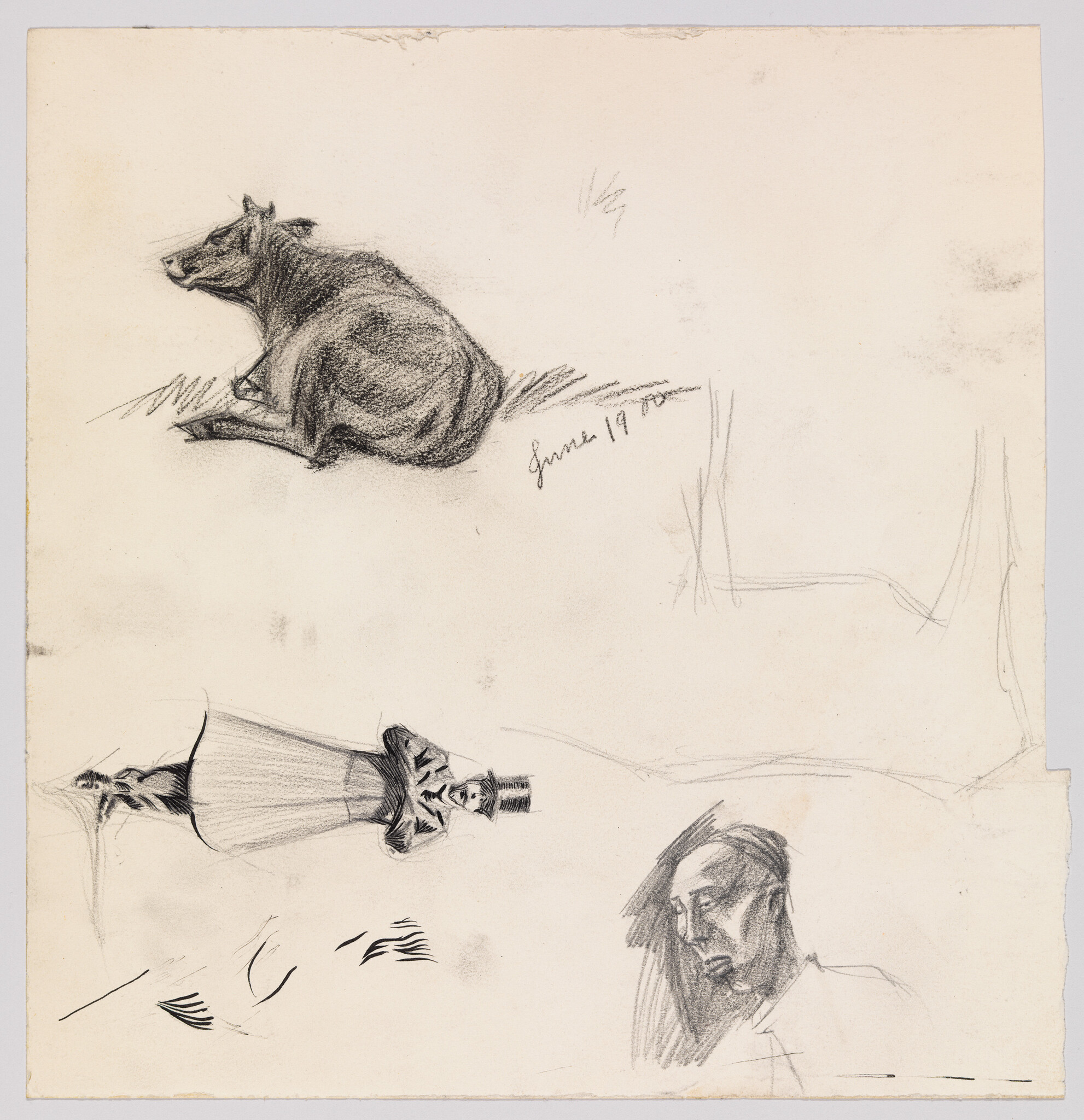 A charcoal sketch of a reclining cow resting on grass with small figure and head studies.