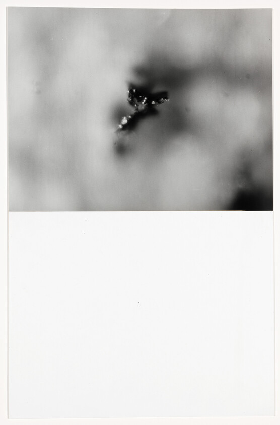 Small cluster of dark debris with tiny bright reflections on a soft, out-of-focus background.