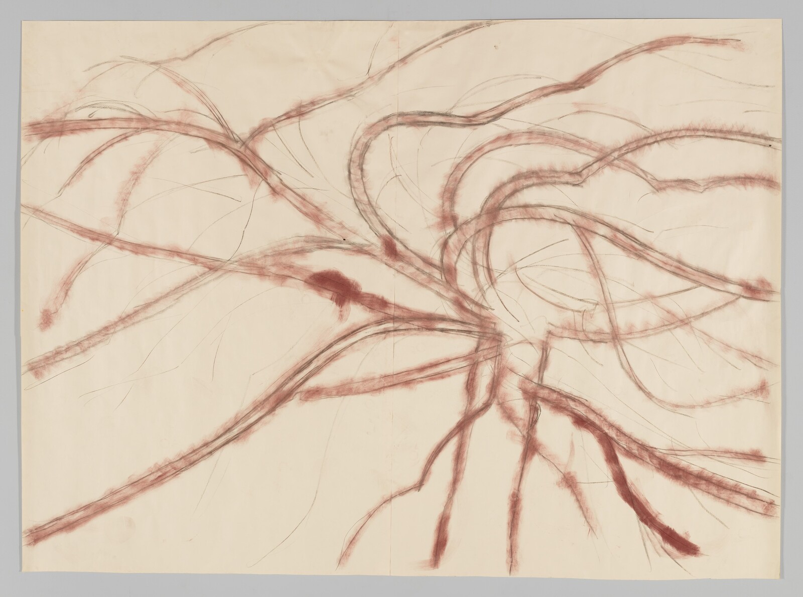Large loose charcoal and red-brown drawing of tangled tree branches spreading across the page.