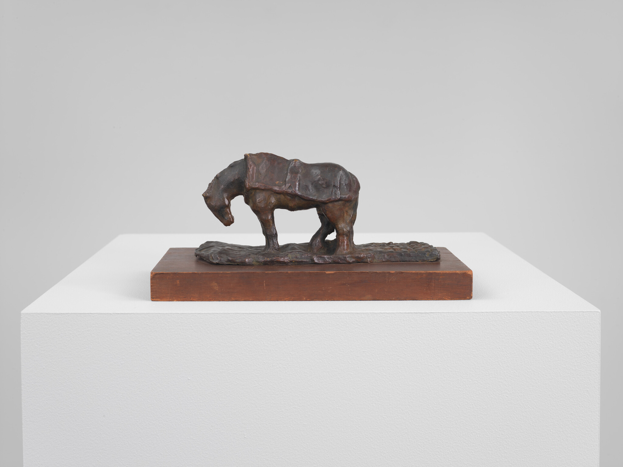 Small bronze horse sculpture with lowered head on a wooden base on a white pedestal.