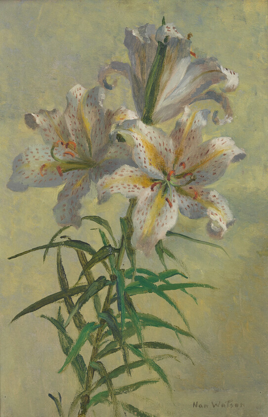 Three large white lilies with speckled petals and long green leaves against a pale background.