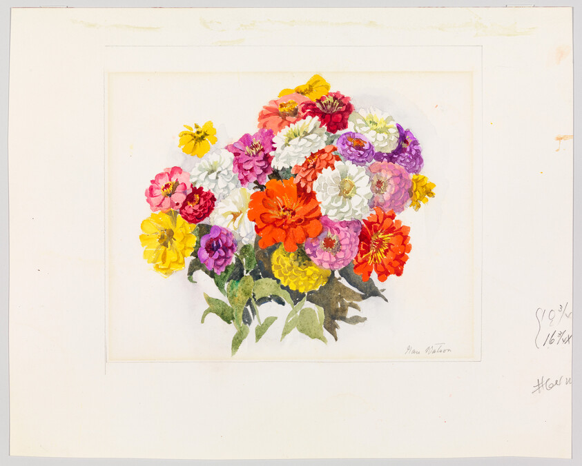 A watercolor painting showing a bouquet of colorful zinnia flowers with green leaves.
