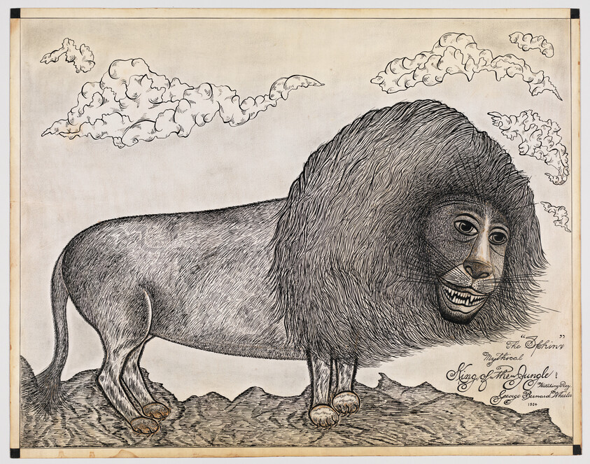 Large hand-drawn lion with an oversized mane and a human-like face standing on rocky ground.