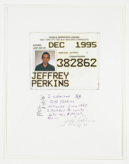 A New York City taxi operator's license card with portrait, license number 3822862, expiring December 1995.