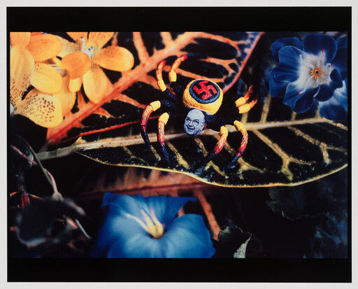 A colorful spider with a swastika on its back and a small human face sits on a leaf among flowers.