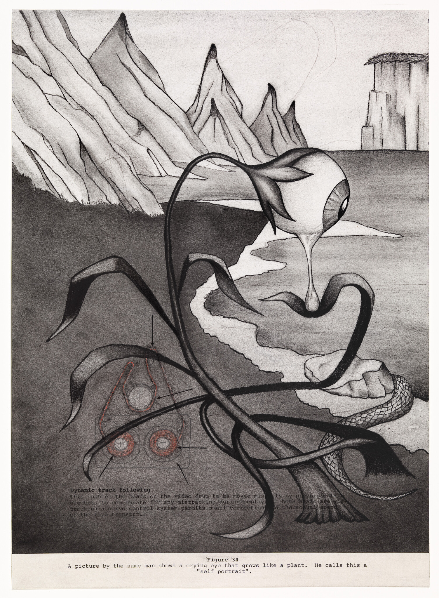 A plant-like stalk bears a large crying eyeball dripping a tear over a rocky shore.