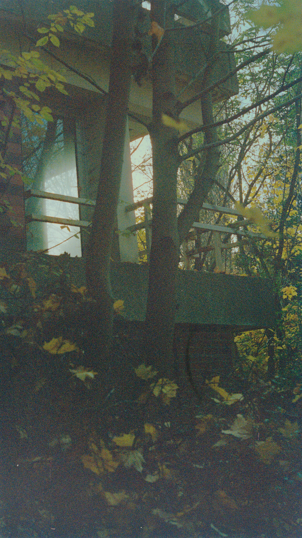 Concrete balcony of an abandoned building stands among trees with fallen yellow leaves.