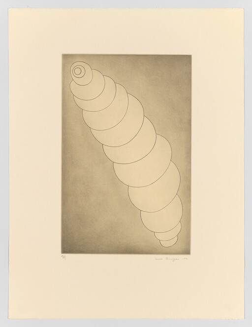 A simple spiral shell made of stacked round segments runs diagonally across a beige background.