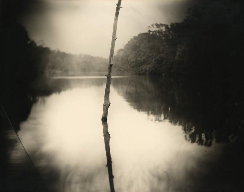A serene black and white photograph depicting a single bare tree branch standing vertically in the center, reflected in the still waters of a calm lake surrounded by a dense treeline in the background. The image conveys a sense of tranquility and symmetry between the branch and its reflection.