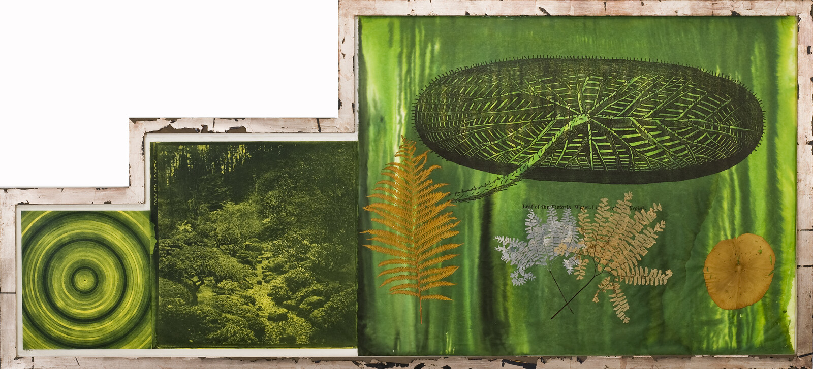 A triptych of green-themed artworks with natural motifs, featuring a circular pattern resembling a tree ring, a lush forest scene, and a large leaf with detailed venation, accompanied by smaller fern leaves and a circular yellow botanical element, all displayed against a rustic white wooden frame.