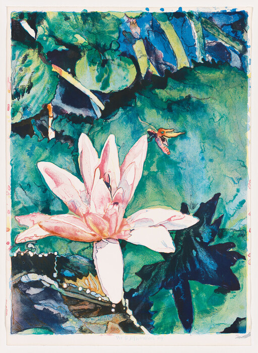 A pink water lily blooms amid green leaves while a hummingbird hovers nearby.