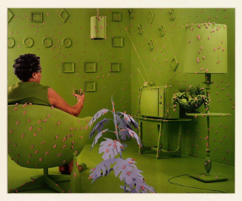 A woman sits in a green living room watching TV while many small pink objects cover the walls and furniture.