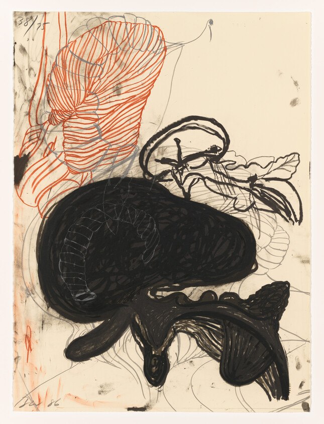 Large dark organic shape dominates center with orange lined abstract form above and scribbled black outlines.