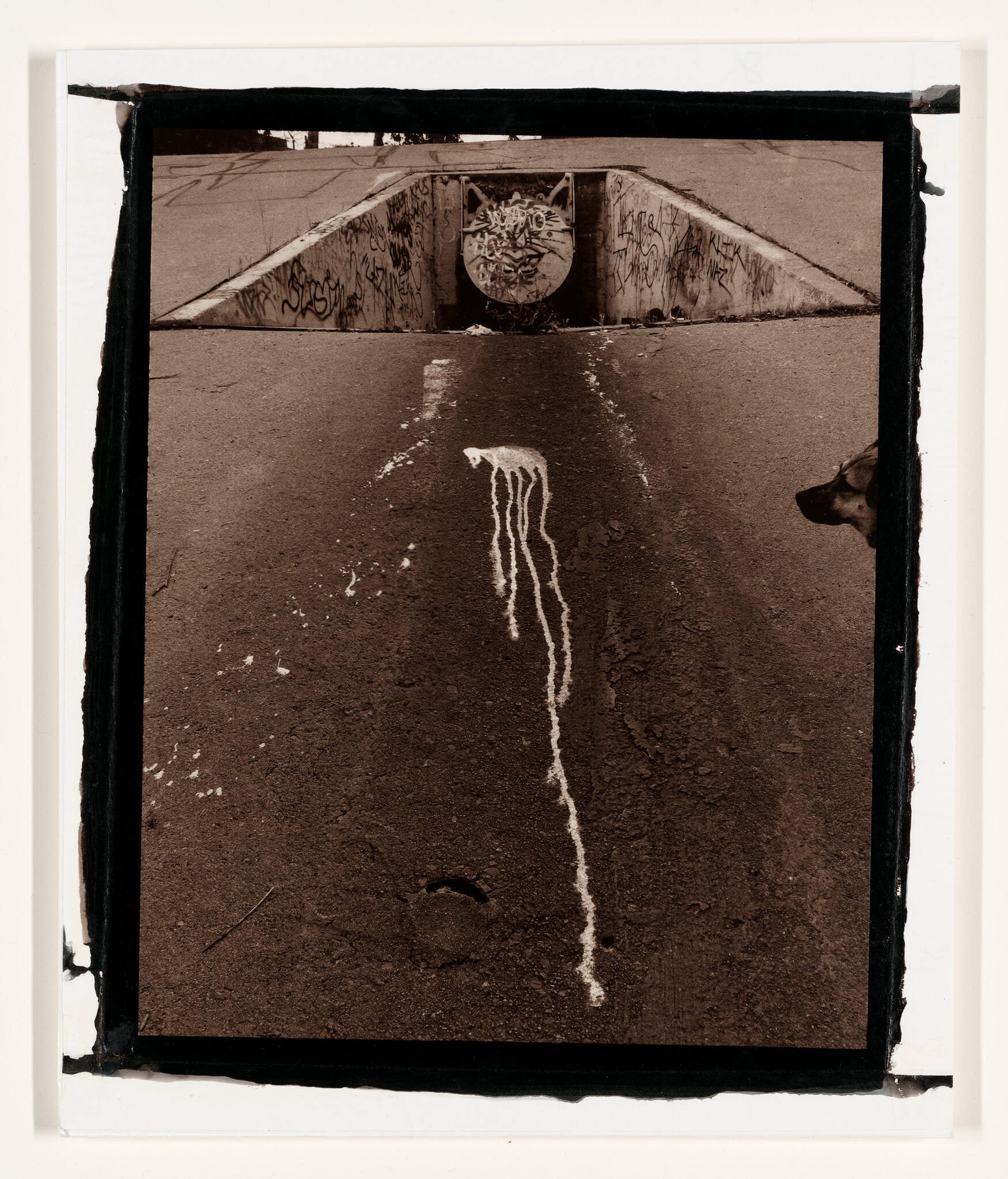 A white paint streak leads down a cracked street toward a graffiti-covered drainage pipe while a dog watches.