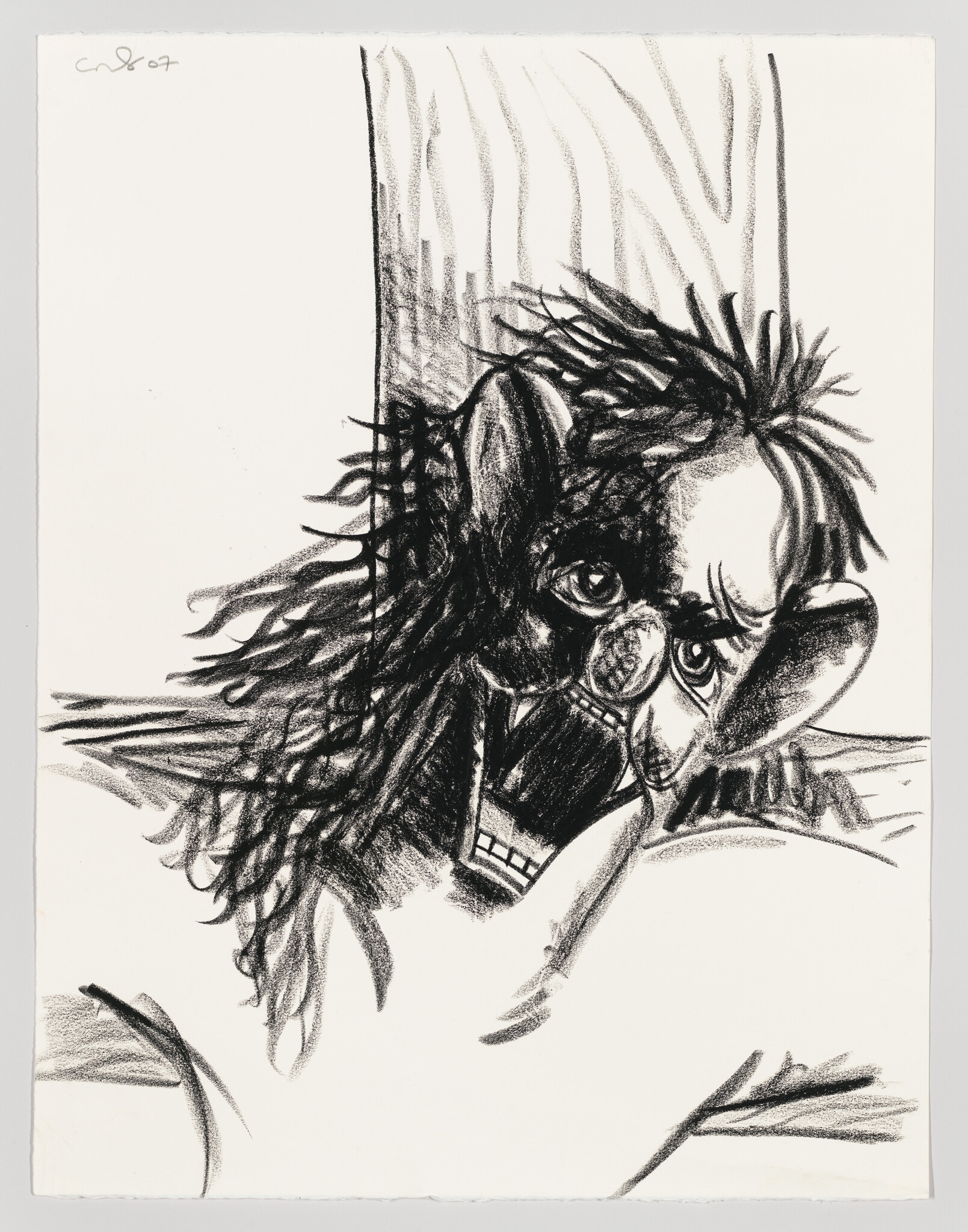 A charcoal drawing shows a wild-haired creature with large eyes and bared teeth leaning forward.