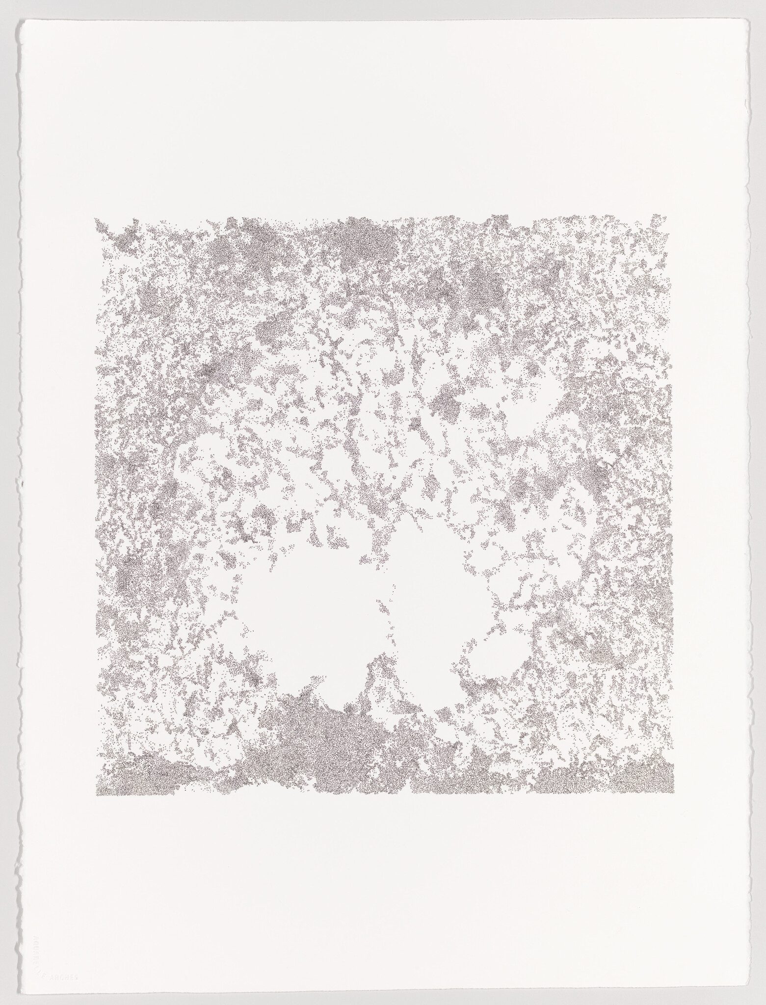 A square field of tiny gray dots forming a textured border with two central blank shapes.