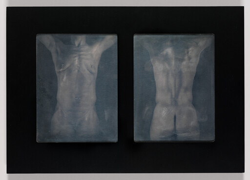 Two blue-toned panels show a male torso front and back mounted on a black background.