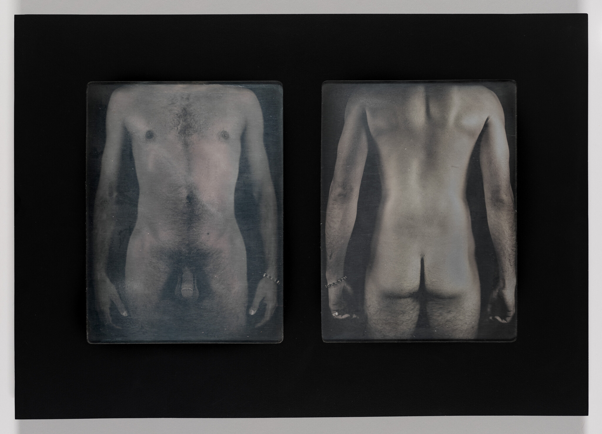 Two monochromatic, translucent panels depicting the front and back of a human figure against a black background. The images have an x-ray-like quality, revealing skeletal and muscular structures.
