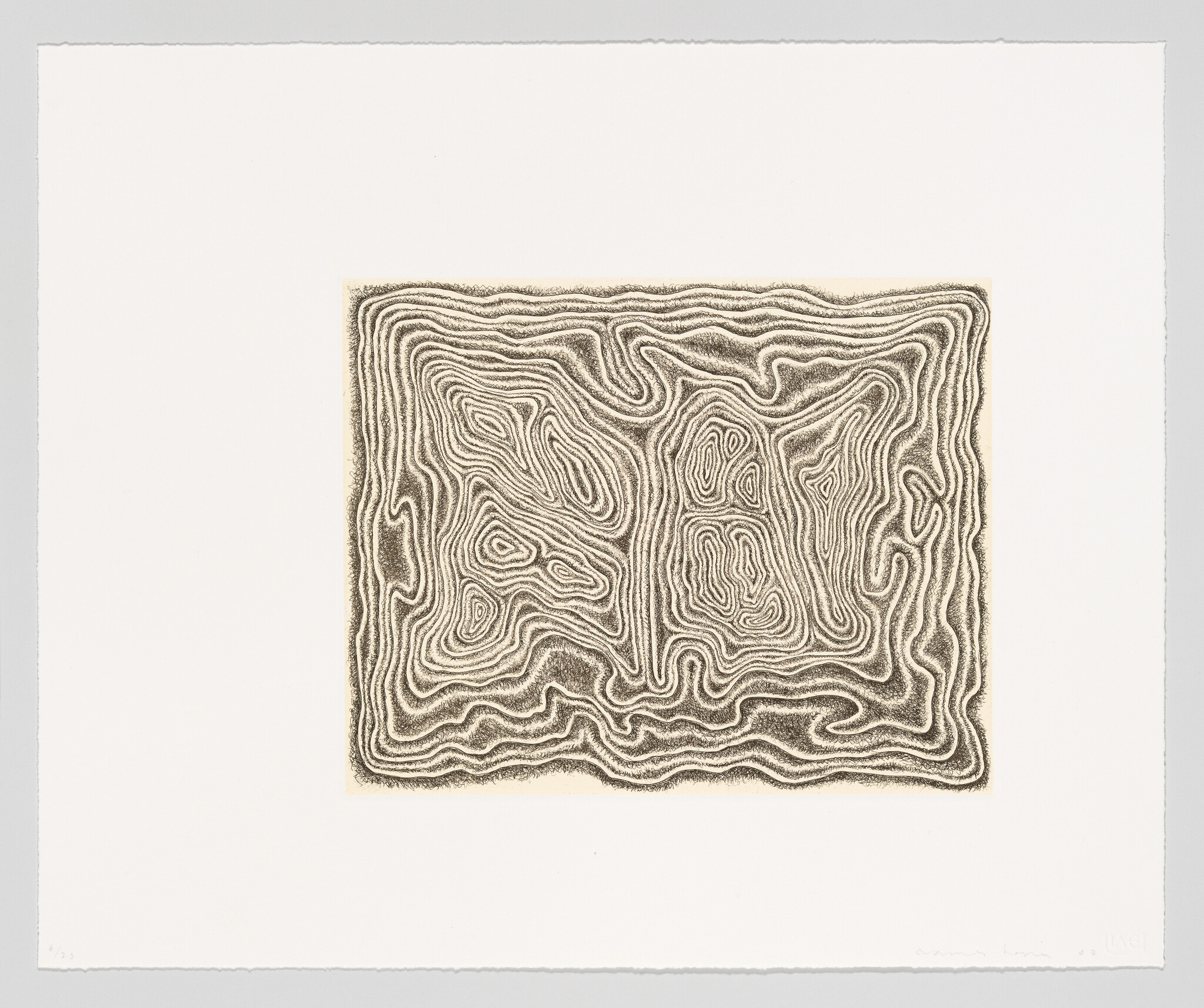 Rectangular abstract drawing of dense wavy contour lines forming layered, maze-like patterns on white paper.