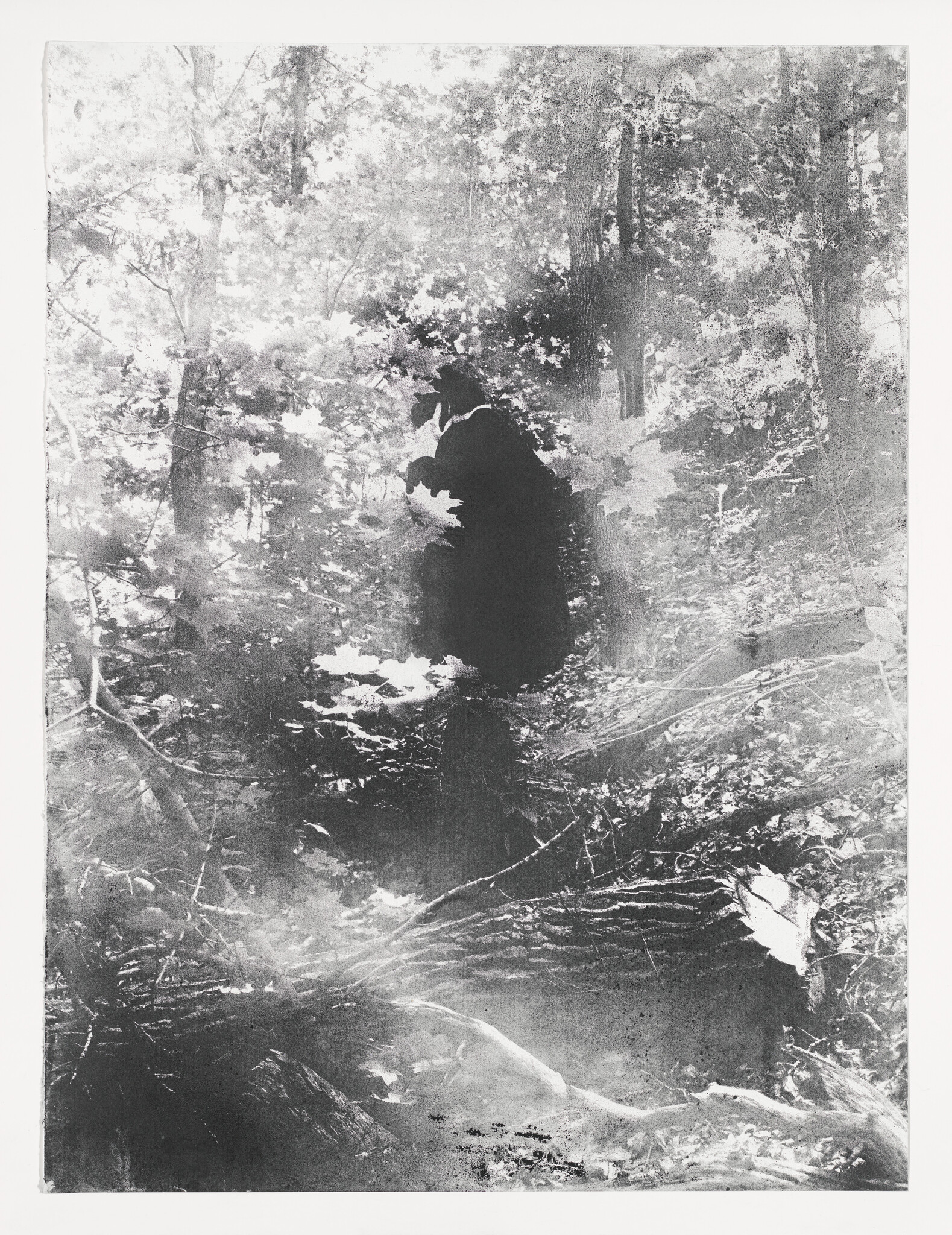 A lone person in a dark coat and hat stands among dense trees and fallen logs.