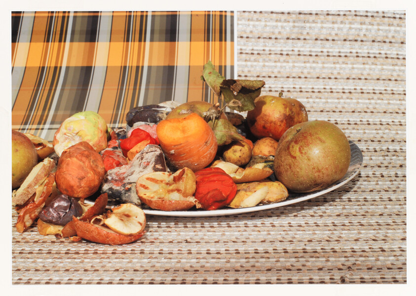 A plate of overripe and rotting fruits and vegetables on a plaid tablecloth.