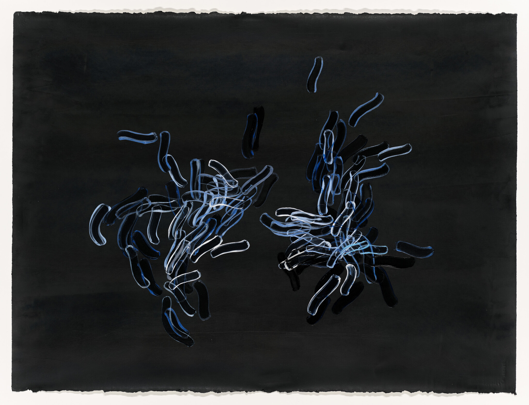 Two clusters of blue and white curved strokes float against a deep black background.