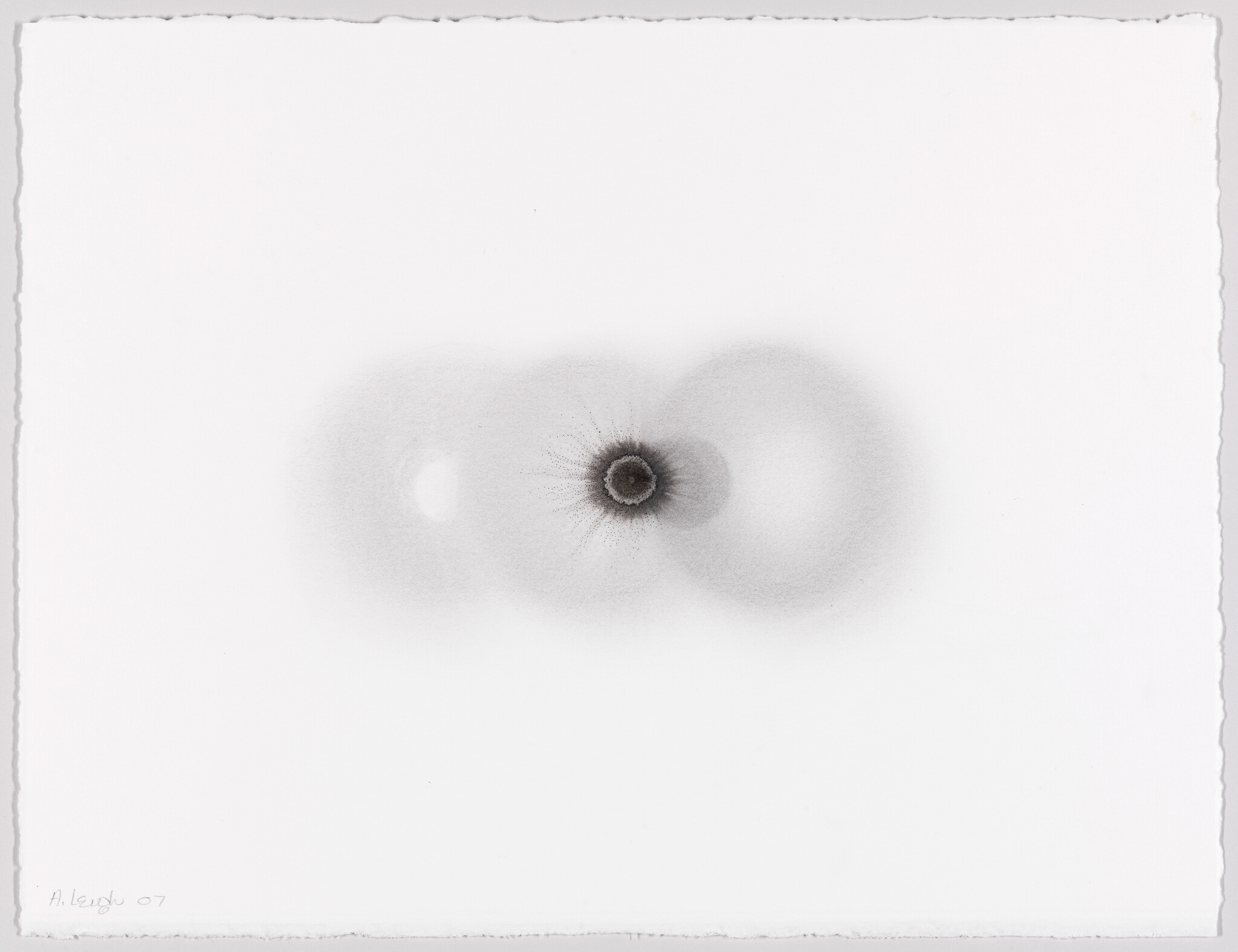 Three soft overlapping gray circles with a dark spiky center on a white background.