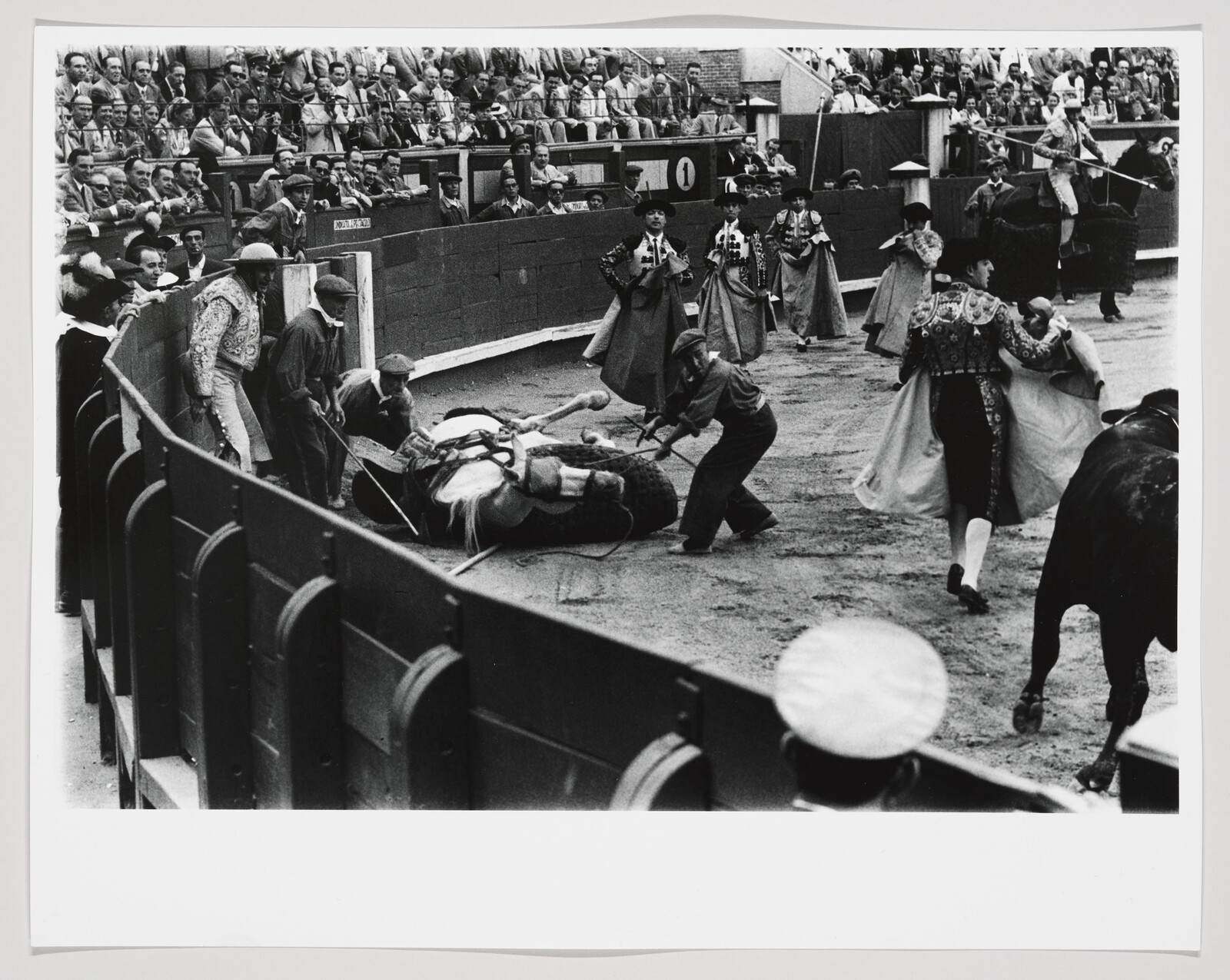 Audience watches as attendants pull a fallen, blindfolded horse from the bullring while matadors move away.